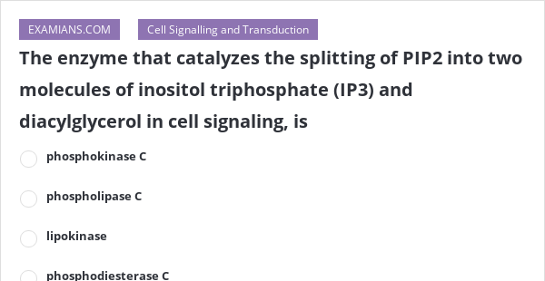 The Enzyme That Catalyzes The Splitting Of Pip Into Two Molecules Of