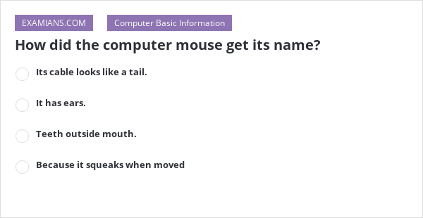 How Did Mouse Get Its Name