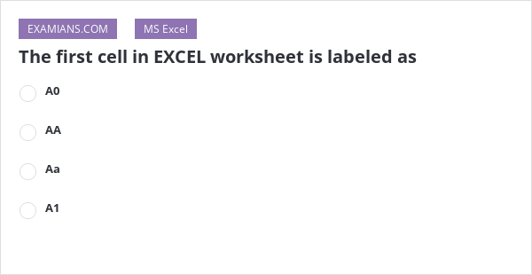 the-first-cell-in-excel-worksheet-is-labeled-as-examians