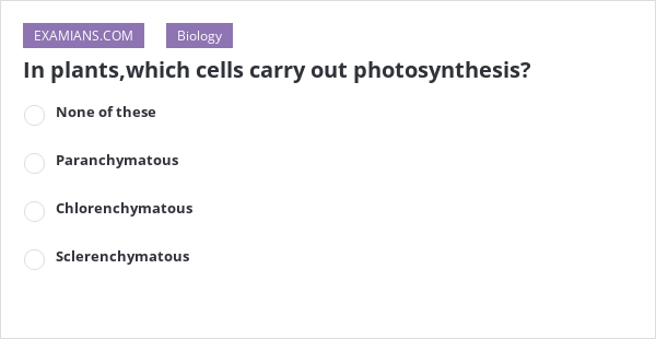 in-plants-which-cells-carry-out-photosynthesis-examians