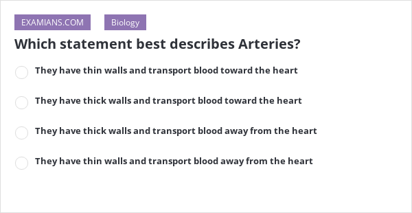 which-statement-best-describes-arteries-examians