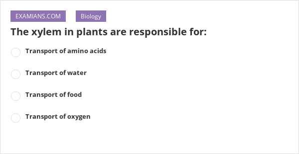 The Xylem In Plants Are Responsible For: | EXAMIANS