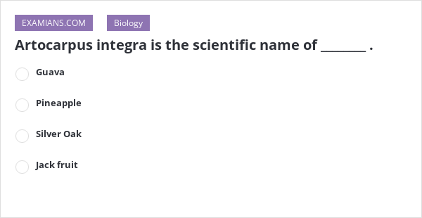 Artocarpus integra is the scientific name of ________ . | EXAMIANS