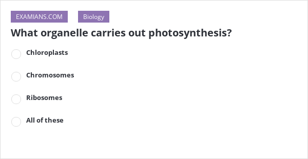 organelles-of-the-plant-cell-pic-1-biological-science-picture