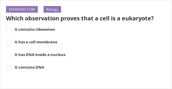 Which Observation Proves That A Cell Is A Eukaryote? | Examians Which Observation Proves That A Cell Is A Eukaryote? | Examians