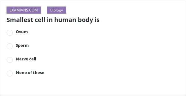 most smallest cell of human body