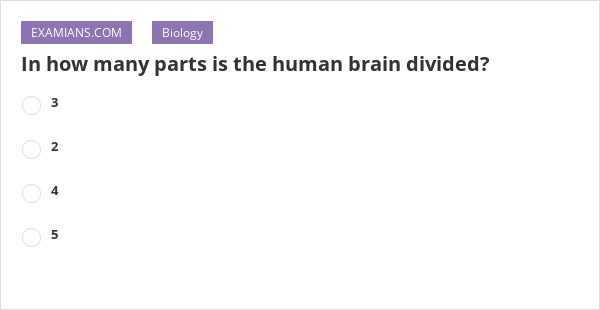 in-how-many-parts-is-the-human-brain-divided-examians