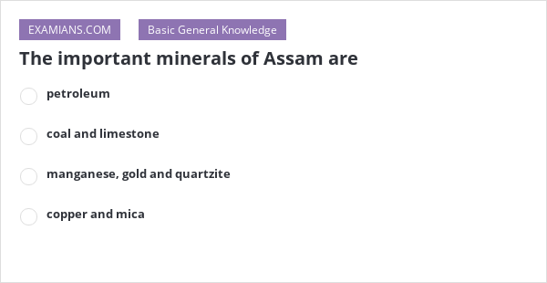 The Important Minerals Of Assam Are Examians