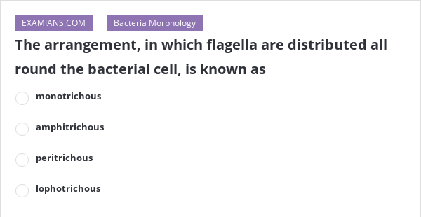 The arrangement, in which flagella are distributed all round the ...