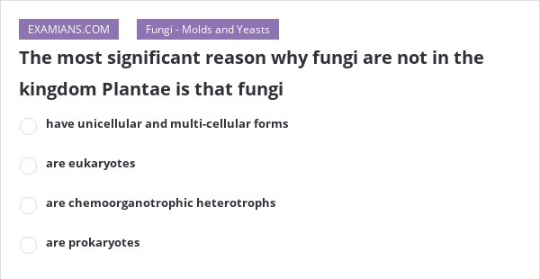 the-most-significant-reason-why-fungi-are-not-in-the-kingdom-plantae-is