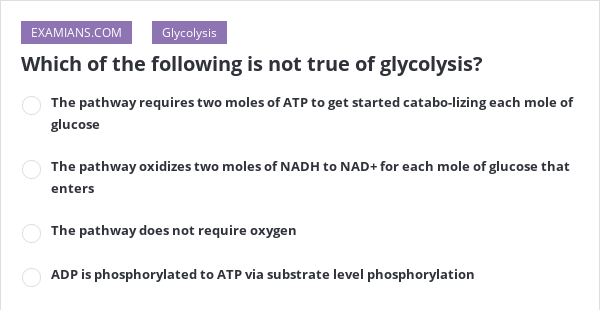 Which Of The Following Is Not True Of Glycolysis