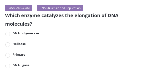 Solved:b)1/2 C)174 33) In The Cross Aj[4 Aabbce Aabbce B) [8 C)1/16 D) 1832 E) Source: numerade.com
A dna strand has the sequence accgagctt. The enzyme that catalyzes the dna strand elongation is the dna polymerase iii. Which enzymes is unwinding dna helix?
Source: chegg.com
This enzyme is very important to dna elongation and it works by creating two pairs of identical dna strands from from a single strand of the parent dna. A) primase b) dna ligase c) dna polymerase iii d) topoisomerase e) helicase. Which enzyme catalyzes the elongation of a dna strand in the 5� 3� direction?
![Which Enzyme Catalyzes The Elongation Of Dna Molecules? | Examians Which Enzyme Catalyzes The Elongation Of Dna Molecules? | Examians