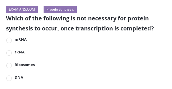 Which Of The Following Is Not Part Of Protein Synthesis Which of the following is not necessary for protein synthesis to occur