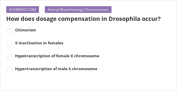 how-does-dosage-compensation-in-drosophila-occur-examians