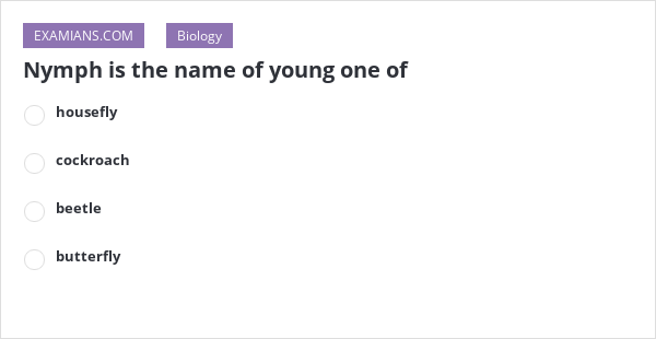 nymph-is-the-name-of-young-one-of-examians